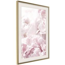 Arkiio Affisch Fluffy Peonies [Poster] 40x60 Poster